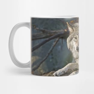 Timber Wolf Mug